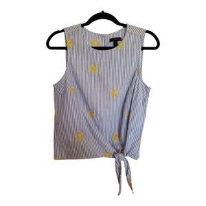 J. Crew Women’s Sleeveless Blue Striped Embroidered Pineapple Blouse Size 6